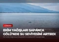 news card ed464a5c2896fbe6