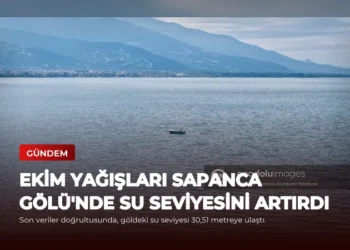 news card ed464a5c2896fbe6
