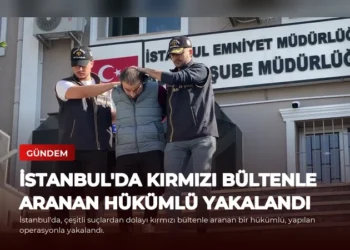 news card f28461e70678ecd9