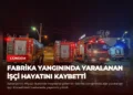 news card f3fd5ab6cc0118e9