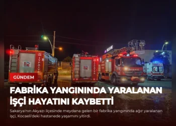 news card f3fd5ab6cc0118e9