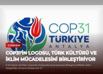 news card f52a2bb24599a3b1