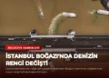 news card f6eb2e310f8b5beb