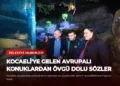 news card f8330e5741998e8d