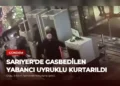 news card fd0910764ffb6632