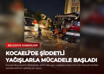 news card fd71f02d25969e37